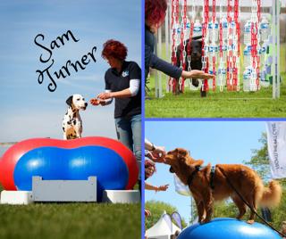 Sam Turner – Proprioception "Too good, not to use for all the dogs…"
