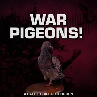 Episode 91: Pigeons at War!