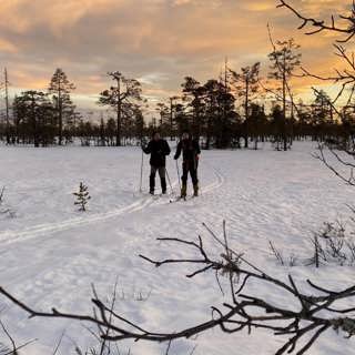 Skidtur på Koppången och vattnets återkomst till Båtfors