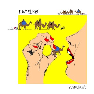 Innslag - Veskehund