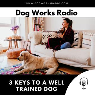The 3 Keys to a Well-Trained Dog | What Actually Creates Reliability