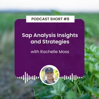 Podcast Short #8: Sap Analysis Insights and Strategies with Rachelle Moss