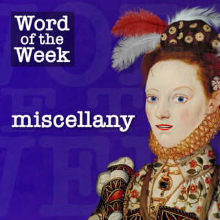 Tudor Time Machine's Word of the Week: Miscellany