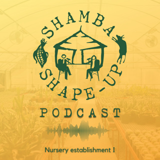 Vegetable Nursery Establishment (Part 1)