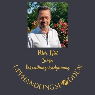 Avsnitt 16 - Framgångsrik IT-upphandling del 2 - systemperspektivet