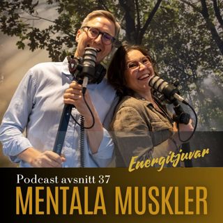 Avsnitt 37 - Energitjuvar