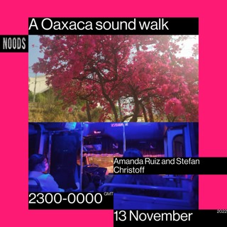 A Oaxaca sound walk - Amanda Ruiz and Stefan Christoff for Noods Radio
