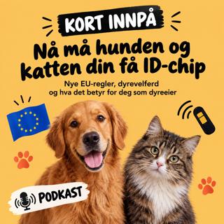 Kort innpå -   Nå må hunden og katten din få ID-chip