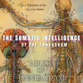 The Somatic Intelligence of the Enneagram
