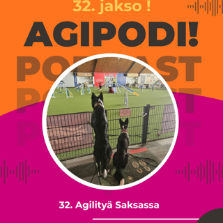 32. Treenimatka Saksaan