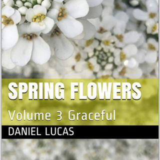 Spring Flowers Volume 3 Graceful by Daniel Lucas