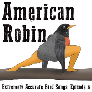 American Robin