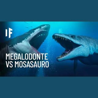 E se il Megalodonte combattesse il Mosasauro?
