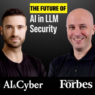 Securing the AI Wild West: A Conversation with Elad Schulman, CEO of Lasso