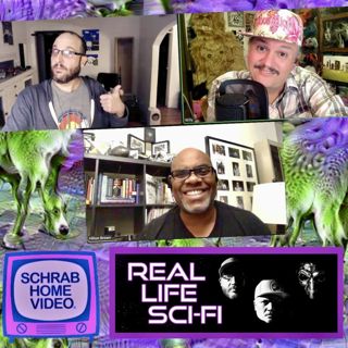 429: 429 Does AI Dream of Electric Sheep with Hilton Brown