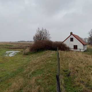 Stigande hav hotar svenska kustsamhällen