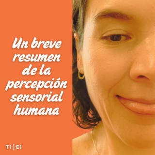 T1|E1 Un Breve Resumen de la Percepción Sensorial Humana