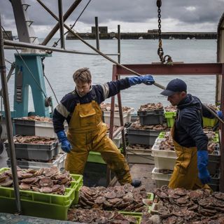 Why have the fishing wars reignited?