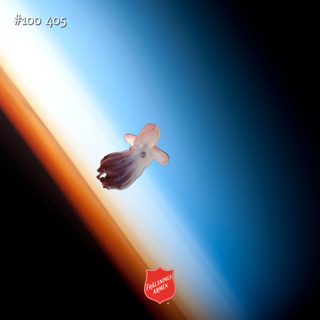 #100 405 Om gravitation, ångest och giftiga gurkor
