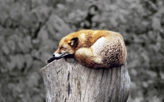 Reprogram Your Mind While You Sleep, Positive Mind Affirmations for Sleep