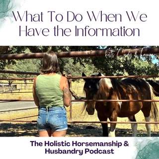 62: How to Move Forwards with Behavior As Information