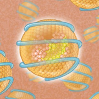 Novel Lipid-Lowering Therapies to Reduce Cardiovascular Risk