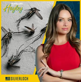 Google Wants To Unleash 32M Mosquitos in the US?! - Scrolling w/ Hayley (Ep. 311)