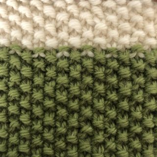 008: Seed Stitch Success