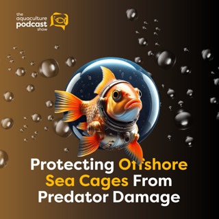 Protecting Offshore Sea Cages From Predator Damage | Ep. 73