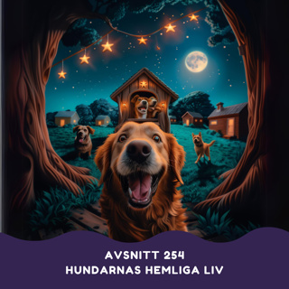 Hundarnas hemliga liv