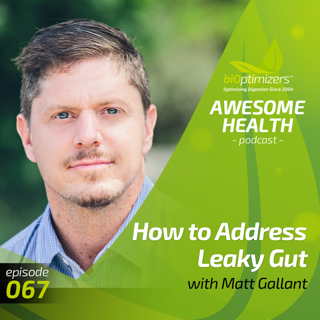 67: How to Address Leaky Gut with Matt Gallant
