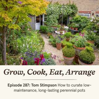 Tom Stimpson: How to curate low-maintenance, long-lasting perennial pots - Episode 287
