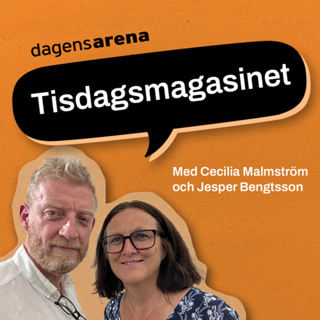 Tisdagsmagasinet: Vad betyder valet i USA?
