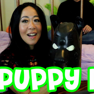 Learning ALL about PuppyPlay & Petplay AUDIO