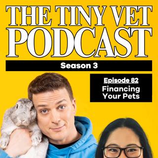 Financing Your Pets