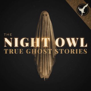 The Night Owl Trailer