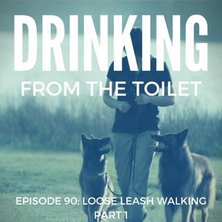 #90: Loose Leash Walking - Part 1