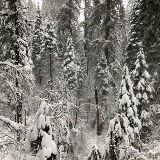 Bonus! Thundersnow on the Pacific Crest Trail