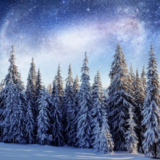 Sacred Rest ~ Healing Winter Solstice Music & Nature Sound Meditation