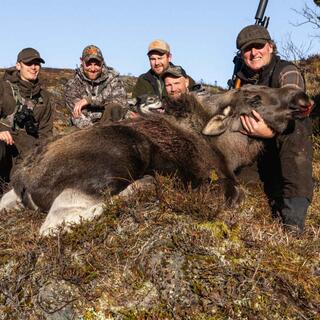 Hunting in the UK, Chinese Water Moose, Deer management and Falconry with Owen and Dan from Cervus-UK 