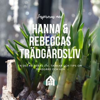Avsnitt 149 – Vintersysslor & vårdrömmar