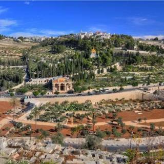 TGIY Ep. 14 - The Mount of Olives