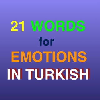21 Words for Emotions