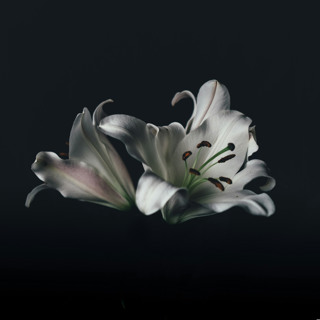 WHILE IT WAS STILL DARK - Homily Easter Sunday - March 31, 2024