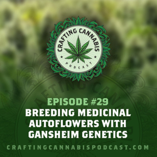 #29 - Breeding Medicinal Autoflowers with Gansheim Genetics