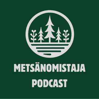 Taimikonhoidon viivästyminen ja sen seuraukset