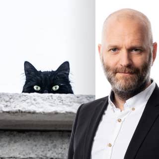Numera slipper katterna sätta livet till: David Rasmusson, Köpenhamn