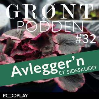 #32 Grøntpodden Avlegger'n