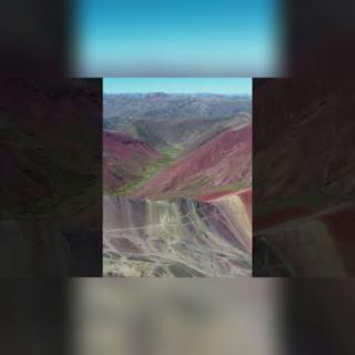 Este gato aprendió a vivir sin agua, ni comida 🐱⛰️ #shorts
