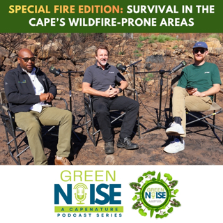 S4 - Episode 4: SPECIAL FIRE EDITION: Survival in the Cape's Wildfire-Prone Areas